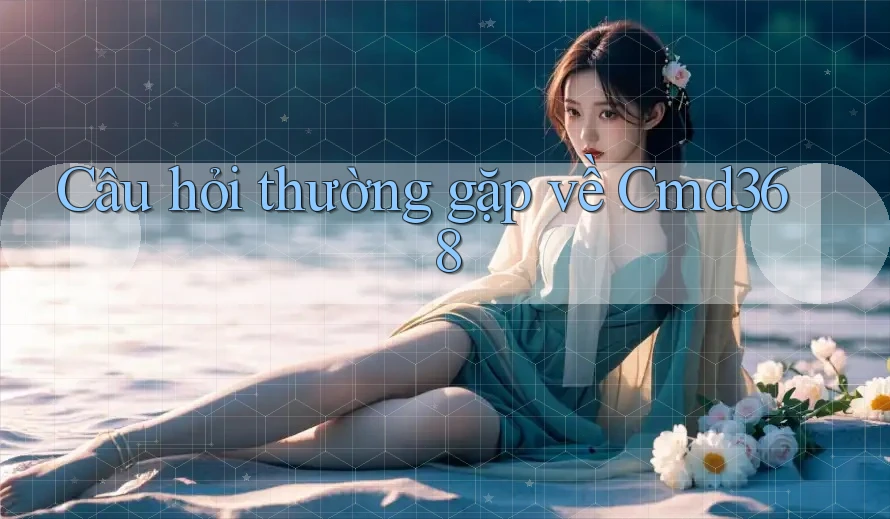 Câu hỏi thường gặp về cmd368