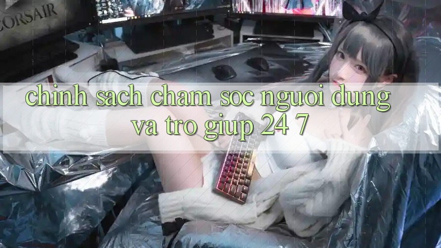 Chính Sách Chăm Sóc Người dùng Và Trợ giúp 24/7