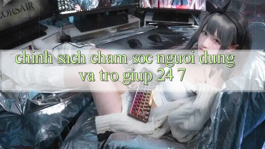 Chính Sách Chăm sóc người dùng Và Trợ giúp 24/7 Chính Sách Chăm sóc người dùng Và Trợ giúp 24/7