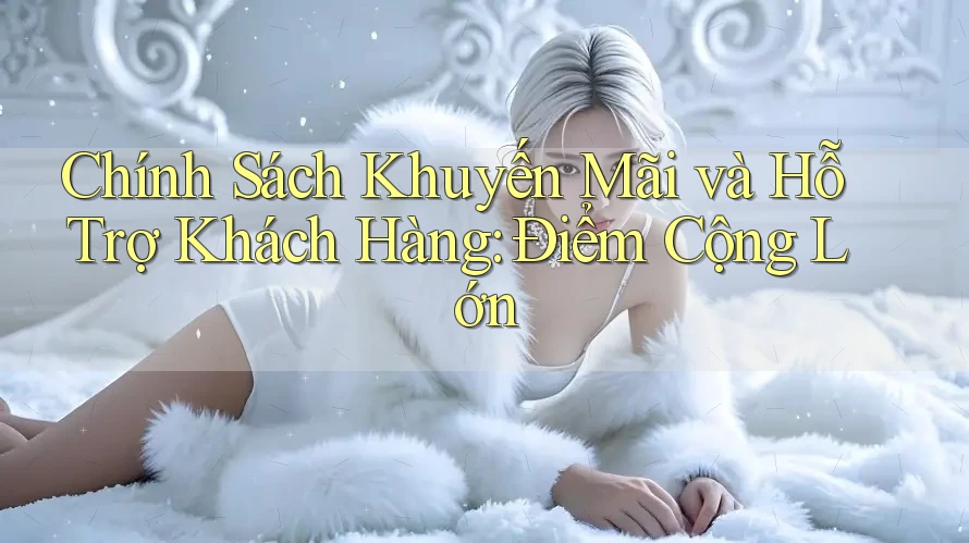 Chính Sách Khuyến Mãi và Hỗ Trợ Khách Hàng: Điểm Cộng Lớn