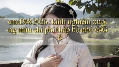 cmd368 2026 kinh nghiệm xương máu chi phí thấp bộ nhớ 64GB