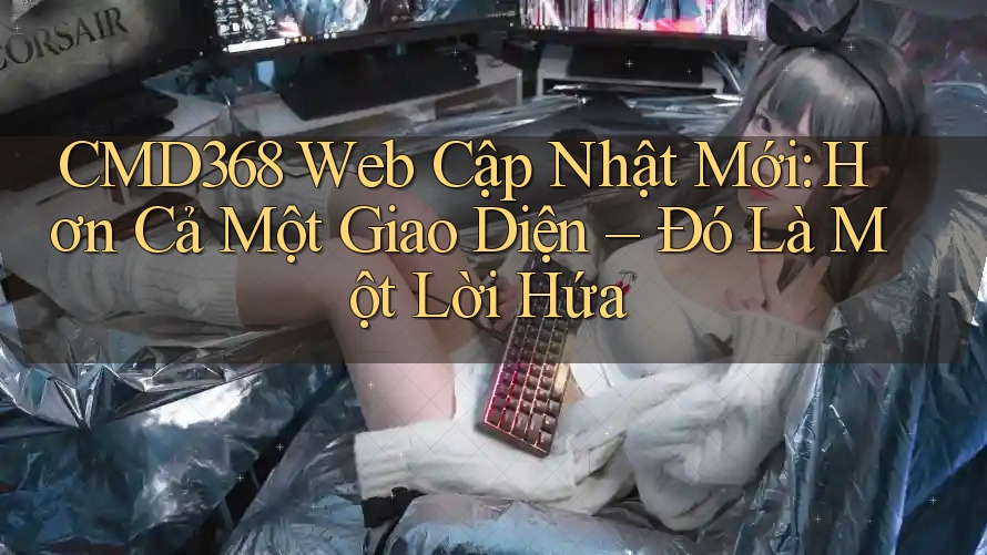 CMD368 Web Cập Nhật Mới: Hơn Cả Một Giao Diện – Đó Là Một Lời Hứa