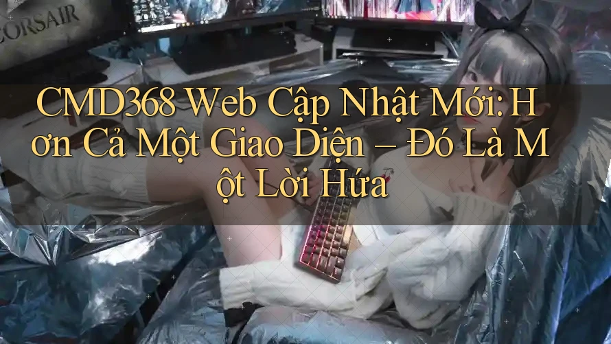 CMD368 Web Cập Nhật Mới: Hơn Cả Một Giao Diện – Đó Là Một Lời Hứa