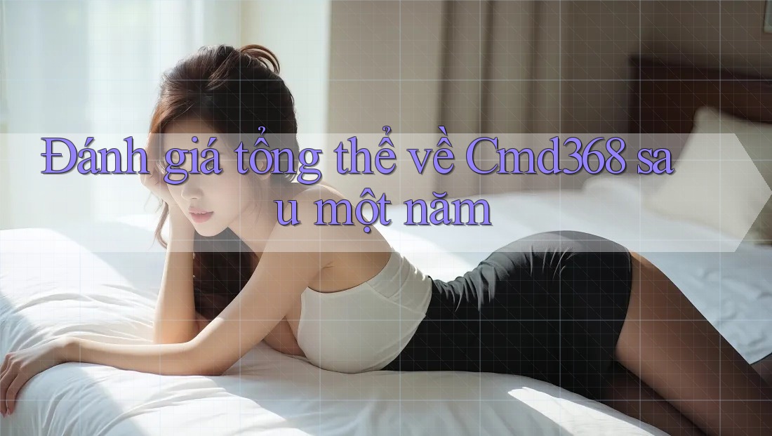 Đánh giá tổng thể về Cmd368 sau một năm Đánh giá tổng thể về Cmd368 sau một năm