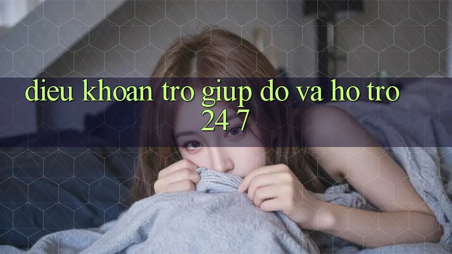 Điều khoản Trợ giúp đỡ Và Hỗ Trợ 24/7