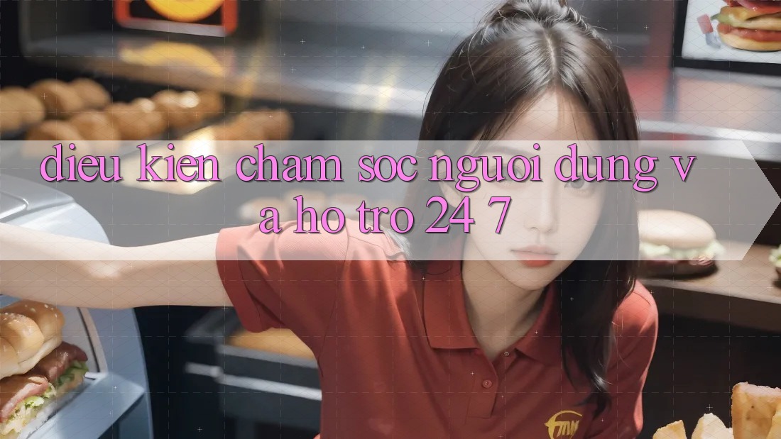 Điều kiện Chăm Sóc Người dùng Và Hỗ Trợ 24/7