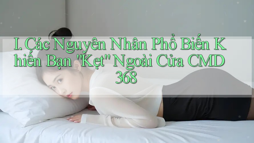I. Các Nguyên Nhân Phổ Biến Khiến Bạn “Kẹt” Ngoài Cửa CMD368 I. Các Nguyên Nhân Phổ Biến Khiến Bạn “Kẹt” Ngoài Cửa CMD368