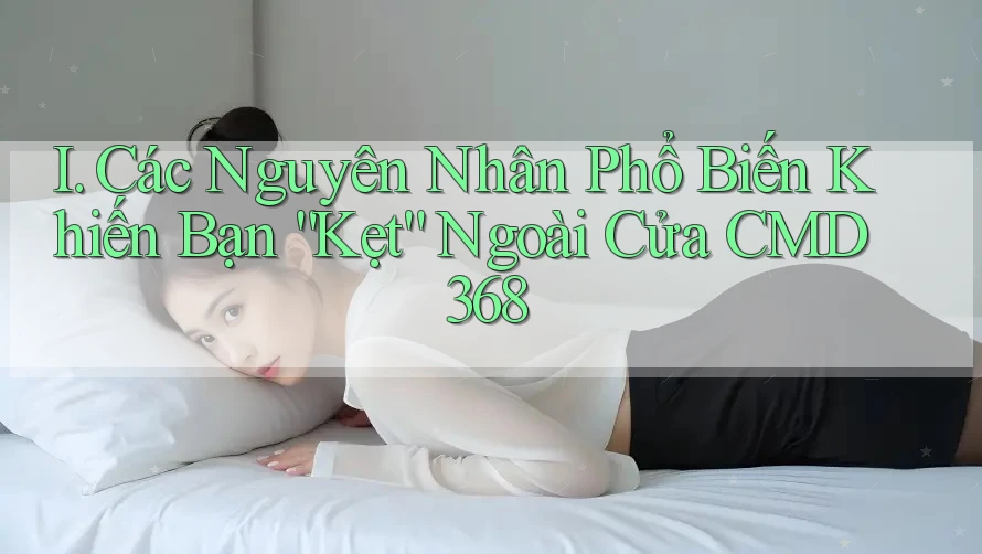 I. Các Nguyên Nhân Phổ Biến Khiến Bạn “Kẹt” Ngoài Cửa CMD368 I. Các Nguyên Nhân Phổ Biến Khiến Bạn “Kẹt” Ngoài Cửa CMD368