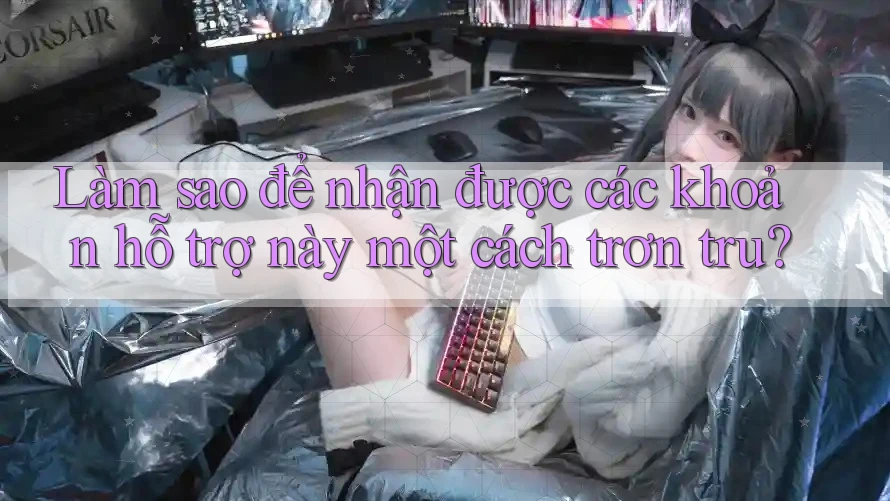 Làm sao để nhận được các khoản hỗ trợ này một cách trơn tru? Làm sao để nhận được các khoản hỗ trợ này một cách trơn tru?