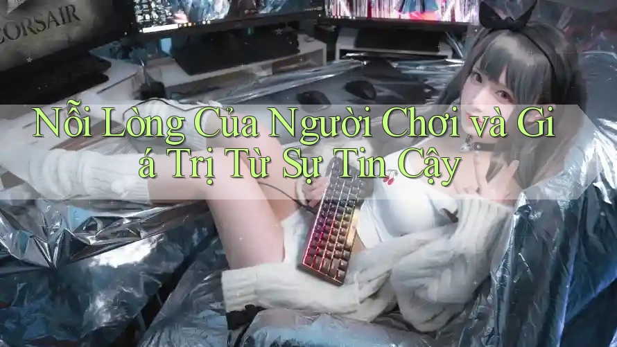 Nỗi Lòng Của Người Chơi và Giá Trị Từ Sự Tin Cậy Nỗi Lòng Của Người Chơi và Giá Trị Từ Sự Tin Cậy