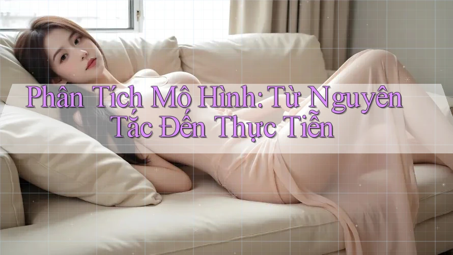 Phân Tích Mô Hình: Từ Nguyên Tắc Đến Thực Tiễn